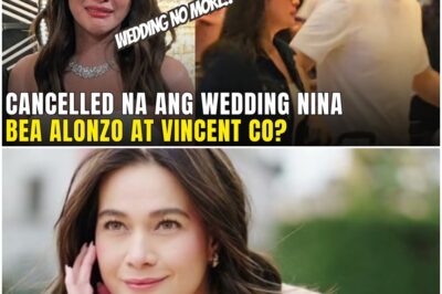 FULL VIDEO! WEDDING ni Bea Alonzo at Vincent Co CANCELLED NA Hindi MATUTULOY!? PANOORIN