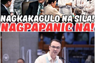 ETO NA! NAGKAKAGULO NA NGAYON ANG MGA SENADOR! BAKBAKAN NA TO!