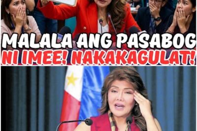 OMG! NAKAKAGULAT NA PASABOG NI IMEE MARCOS! TOTOO KAYA ITO?!