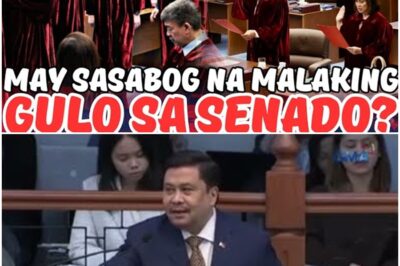 ETO NA! MAGKAKAGULO DAW SA SENADO? NAKO YARE! ANO TO?!