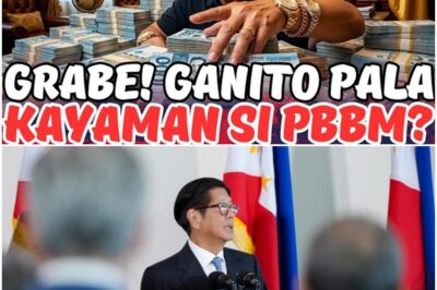 GRABENG KAYAMANAN NI PBBM INILABAS NA! MARAMI ANG NAGULAT!