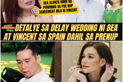 KATOTOHANAN sa Issue ni Bea Alonzo at Vincent Co na Delayed Wedding sa Spain | PRENUP AGREEMENT