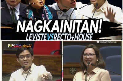 Korapsyon ni Ralph Recto, Vilma Santos binulgar ni Leviste, pinabubura ng mga kongresista! (FULL)