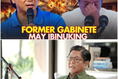 Dating Gabinete Ni PBBM, INEXPOSE Ang ISANG SIKRETONG Matagal Niya Ng ALAM Ptungkol Sa Pangulo