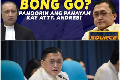 WARRANT KAY BONG GO? PANOORIN ANG PANAYAM KAY ATTY. ANDRES!