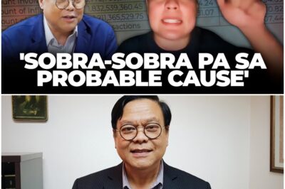 Dean Mel Sta. Maria breaks down strength of evidence vs Sara Duterte