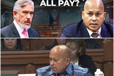 Mahiya na kaya si Bato dela Rosa?