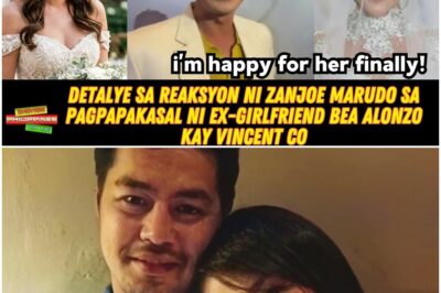 Detalye sa REAKSYON ni Zanjoe Marudo sa pagpapakasal ni Ex-GF Bea Alonzo kay Vincent Co