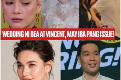 Malaking Channel KINUMPIRMA ang KANSELASYON ng Kasal ni Bea Alonzo! Iba pang dahilan, Lumabas.