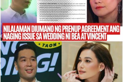 Bea Alonzo NagBACKOUT daw dahil sa Nakakagulat na Nilamaman ng Prenup nila ni Vincet Co.